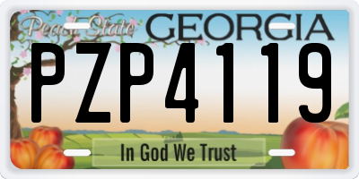 GA license plate PZP4119