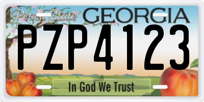 GA license plate PZP4123