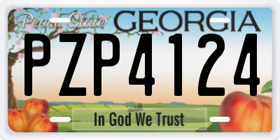 GA license plate PZP4124