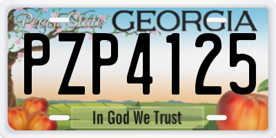 GA license plate PZP4125