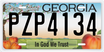 GA license plate PZP4134