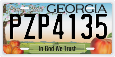 GA license plate PZP4135