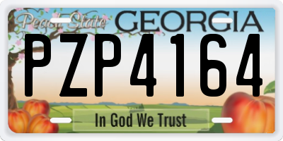 GA license plate PZP4164