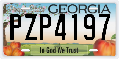GA license plate PZP4197