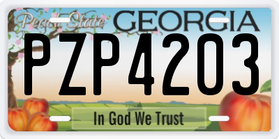GA license plate PZP4203