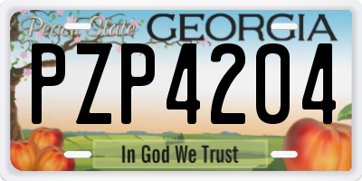 GA license plate PZP4204