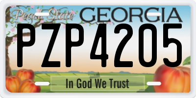 GA license plate PZP4205