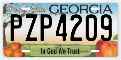 GA license plate PZP4209