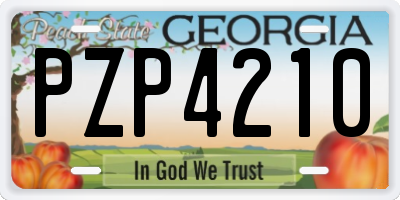 GA license plate PZP4210