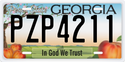GA license plate PZP4211