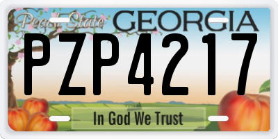 GA license plate PZP4217