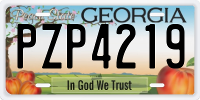 GA license plate PZP4219