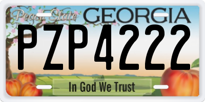 GA license plate PZP4222