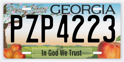 GA license plate PZP4223