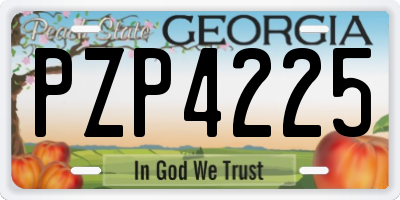 GA license plate PZP4225