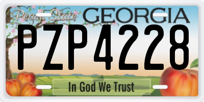 GA license plate PZP4228