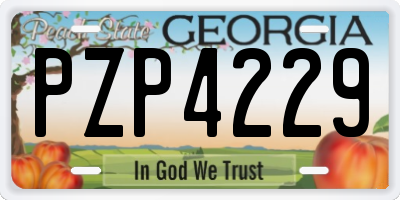 GA license plate PZP4229