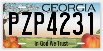 GA license plate PZP4231