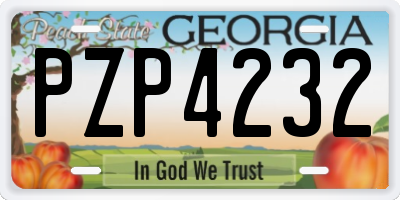 GA license plate PZP4232