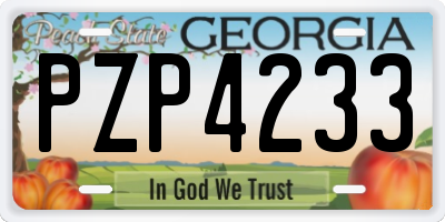 GA license plate PZP4233