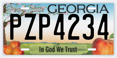 GA license plate PZP4234