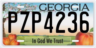 GA license plate PZP4236