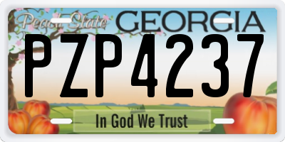 GA license plate PZP4237