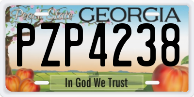 GA license plate PZP4238