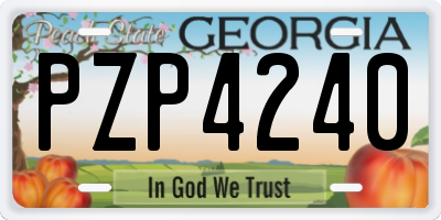 GA license plate PZP4240