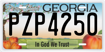 GA license plate PZP4250