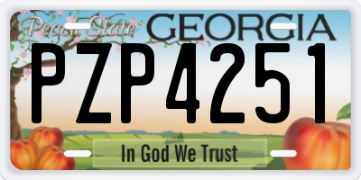 GA license plate PZP4251