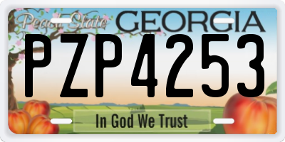 GA license plate PZP4253