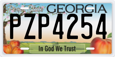 GA license plate PZP4254