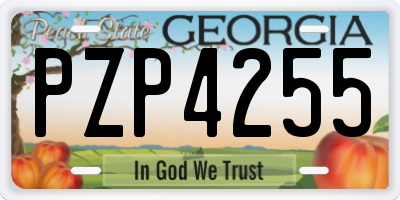 GA license plate PZP4255