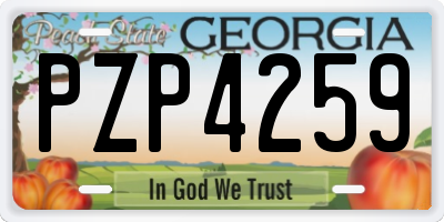 GA license plate PZP4259