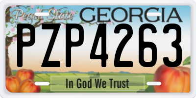 GA license plate PZP4263