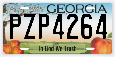 GA license plate PZP4264