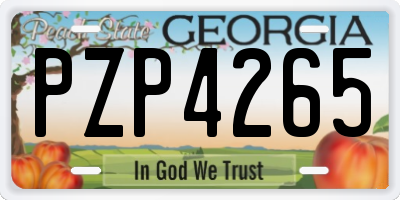 GA license plate PZP4265