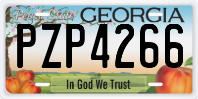 GA license plate PZP4266