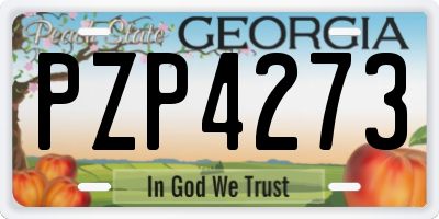 GA license plate PZP4273