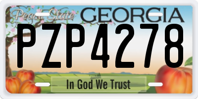 GA license plate PZP4278