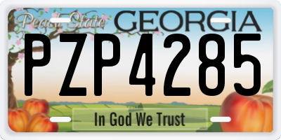 GA license plate PZP4285