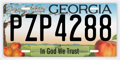 GA license plate PZP4288
