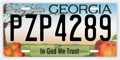 GA license plate PZP4289