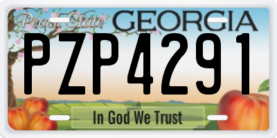 GA license plate PZP4291