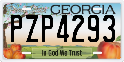 GA license plate PZP4293