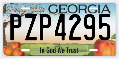 GA license plate PZP4295