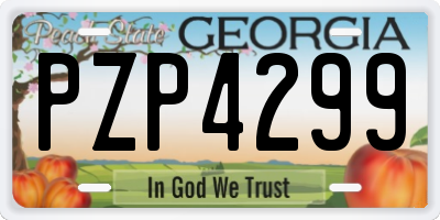 GA license plate PZP4299