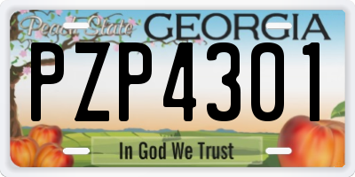 GA license plate PZP4301