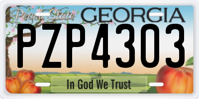 GA license plate PZP4303